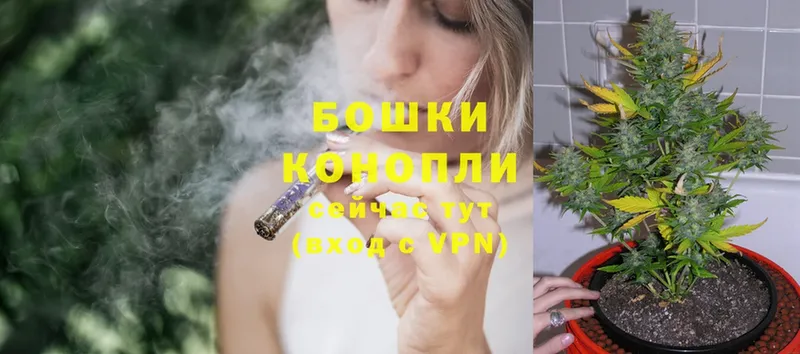 Бошки Шишки OG Kush  Большой Камень 